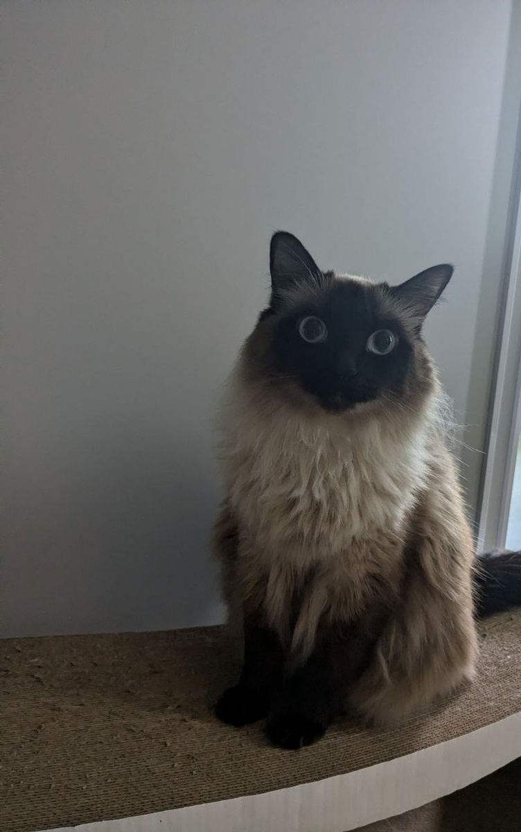 а точно надо ехать, да? Ты прям уверена?