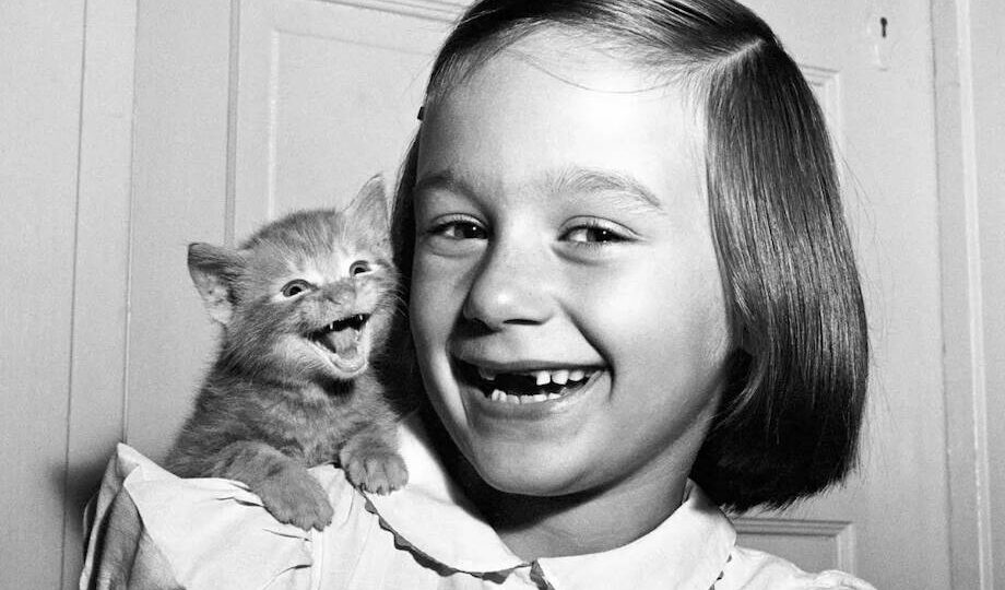 15 работ фотографа, который 75 лет снимал кошек