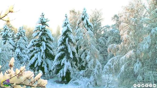 СБОРНИК ВДОХНОВЛЯЮЩИХ И НЕЖНЫХ МЕЛОДИЙ! Плавно льющаяся симфония чувств! Ритмы, наполняющие пространство теплом!