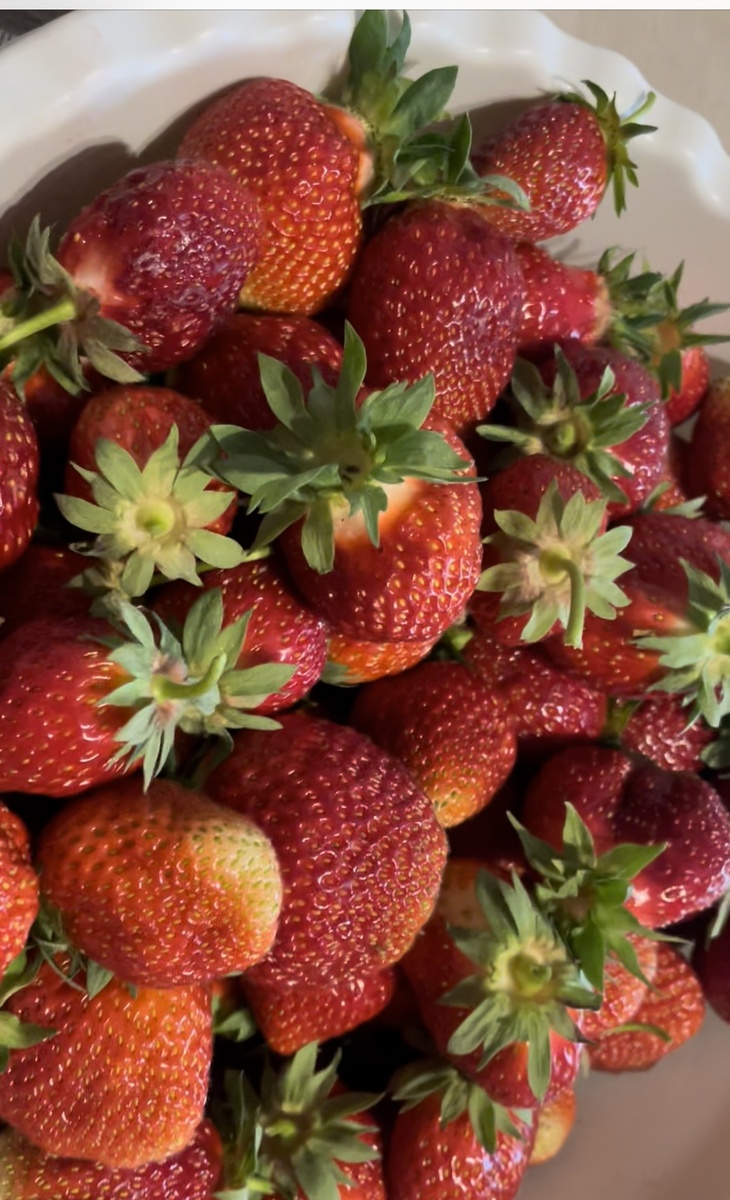 Клубника урожая 2024 года