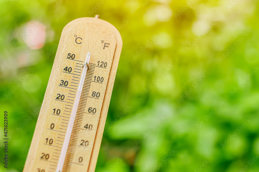 Фото: Quality Stock Arts/stock.adobe.com