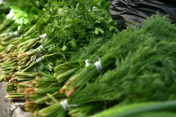 Фото: Томас Тхайцук/РИА Новости 