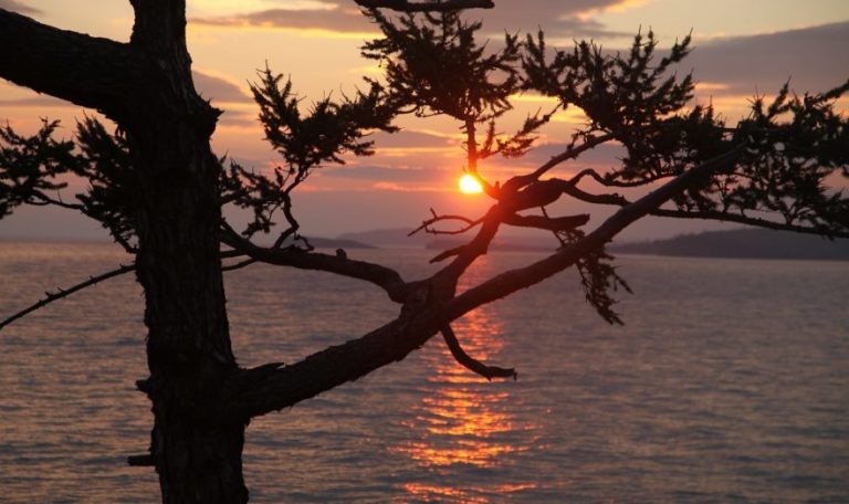    Фото: pixabay.com / AndreyKlementyev Анастасия Манцова