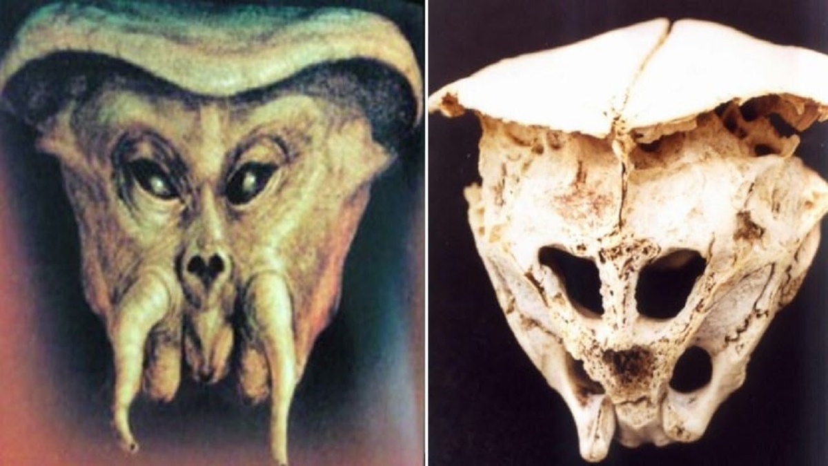 Увидев этот мем, мы сразу вспомнили историю с загадочным "черепом инопланетянина", найденным в Болгарии в 2001 году.-2