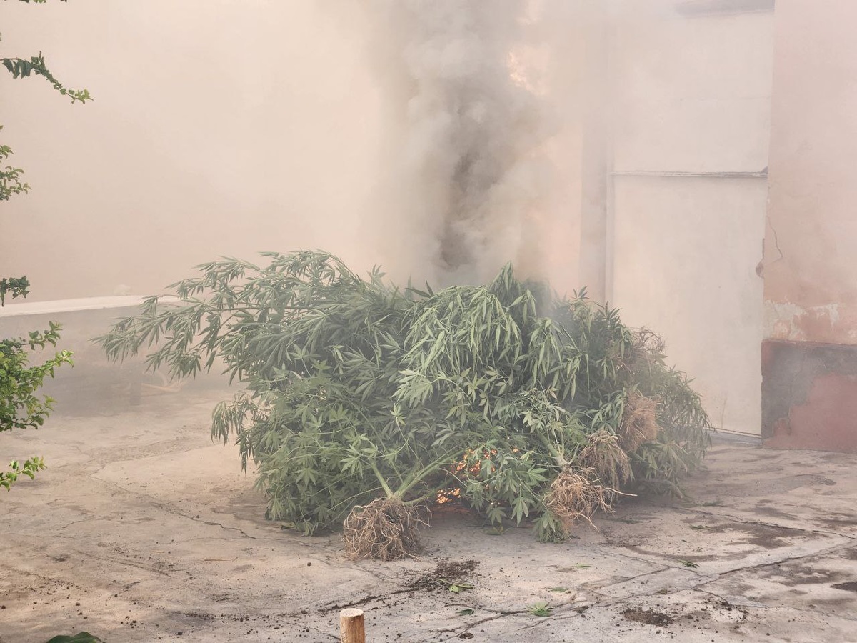    Фото: Пресс-служба УВД Ферганской области