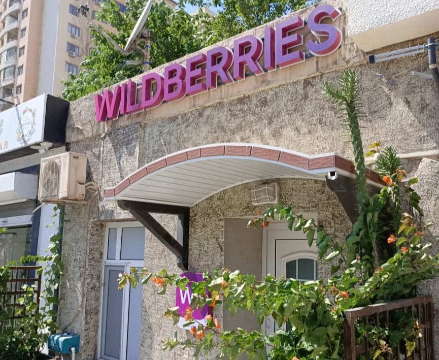 Иллюстрация: Wildberries  📷
