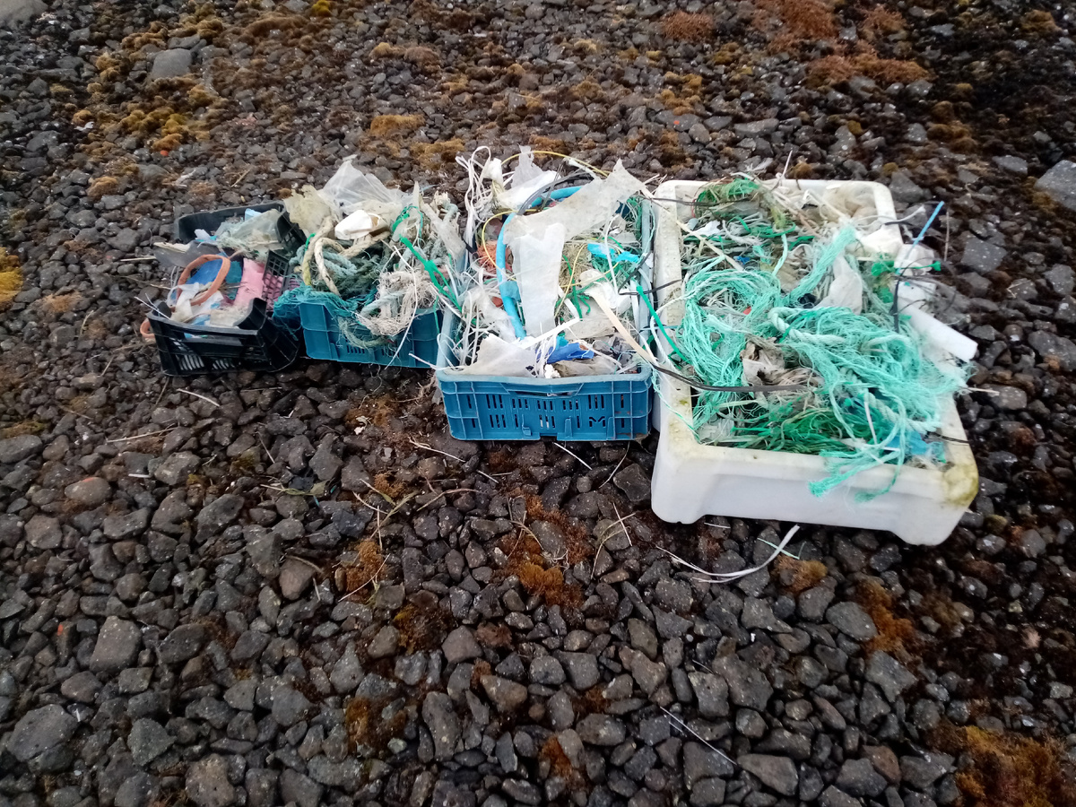 Морской мусор в бухте Дачная, о. Земля Александры, архипелаг Земля Франца-Иосифа