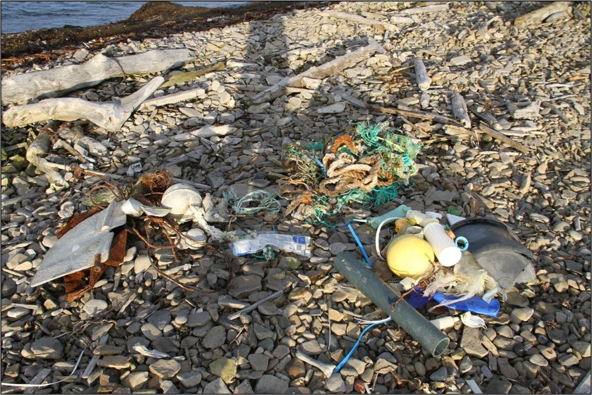 Мусор, собранный участке к западу от м. Желания, архипелаг Новая Земля