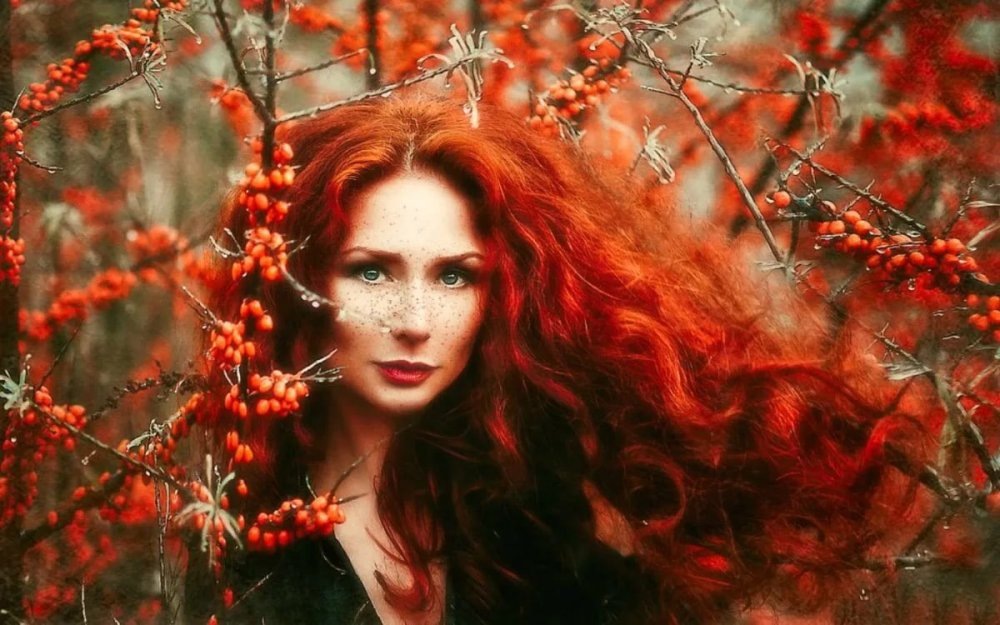 Ведьма в лесу