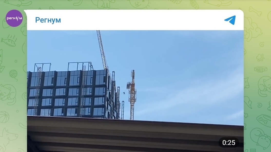    Телеграм-канал «Регнум»