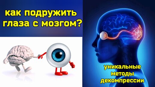 Компрессия зрительного и глазничного нервов вызывает деградацию глаз и мозга. Методы освобождения