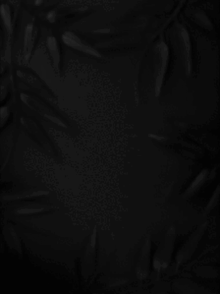 Видеообложка с анимированной инфографикой