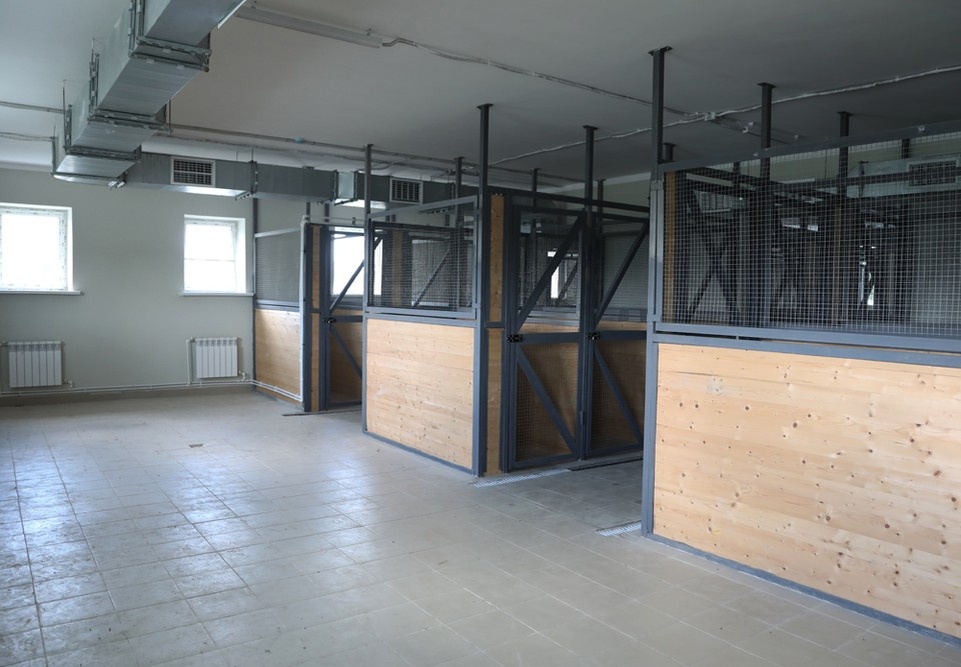    Фото мэрии Воронежа Предоставлено