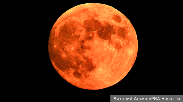     Фото: Виталий Аньков/РИА Новости   
 Текст: Алексей Дегтярев