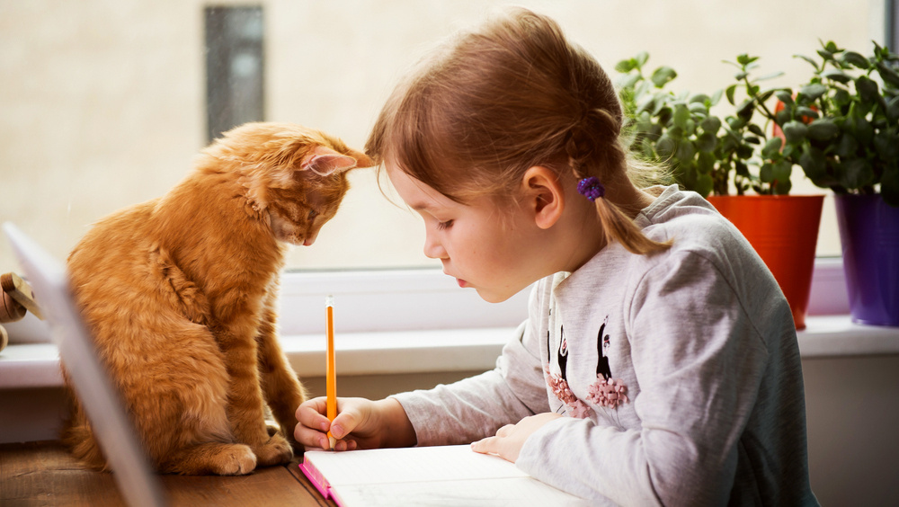    Фото: Shutterstock.com