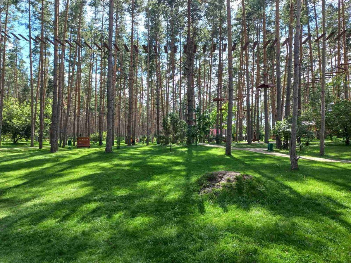 Фото автора.