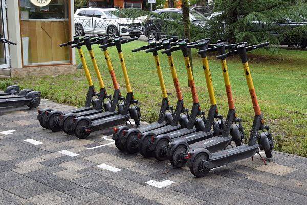    Фото: пресс-служба администрации города Сочи