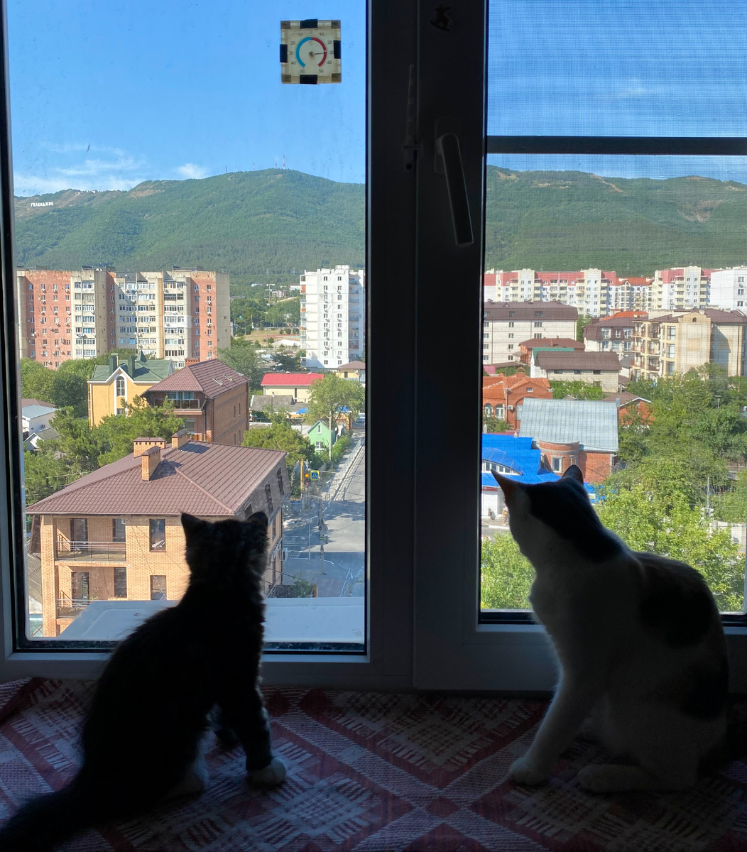 Всеми нашими сердцами любим этот вид на горы