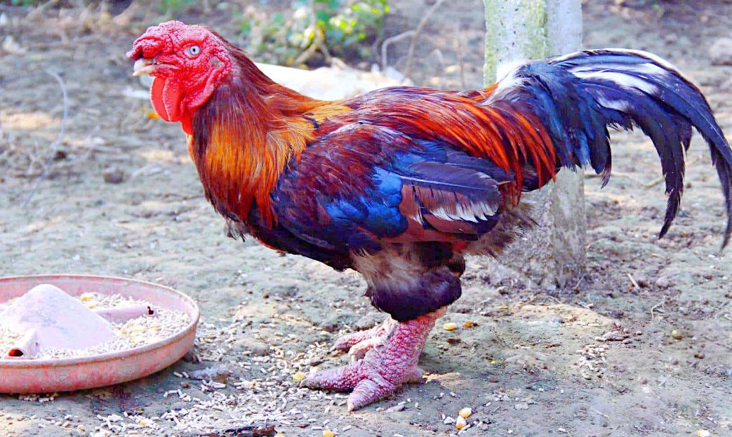 Фото: id.techconfronts.com