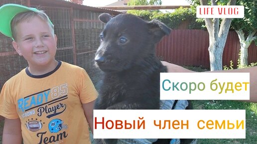 Влоги с ЮГА🌞 Скоро у НАС будет новый член СЕМЬИ ❤️ Готовлю ЗРАЗЫ😋