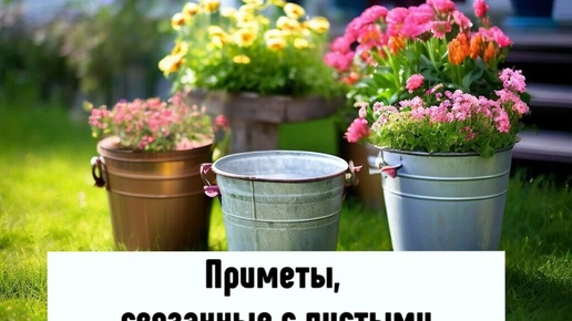 О чём говорит встреча с человеком с пустыми или полными вёдрами. Приметы.