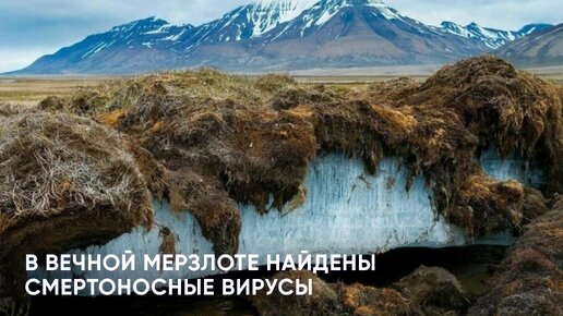 В вечной мерзлоте найдены смертоносные вирусы