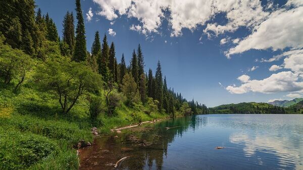    © Фото / Геннадий Закиров
