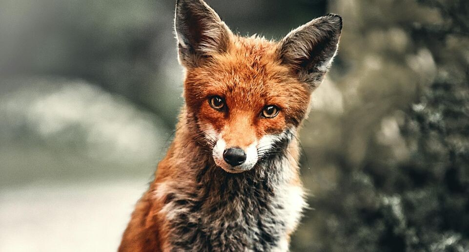    Unsplash