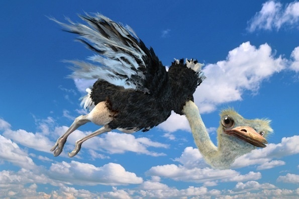 фото из открытого доступа