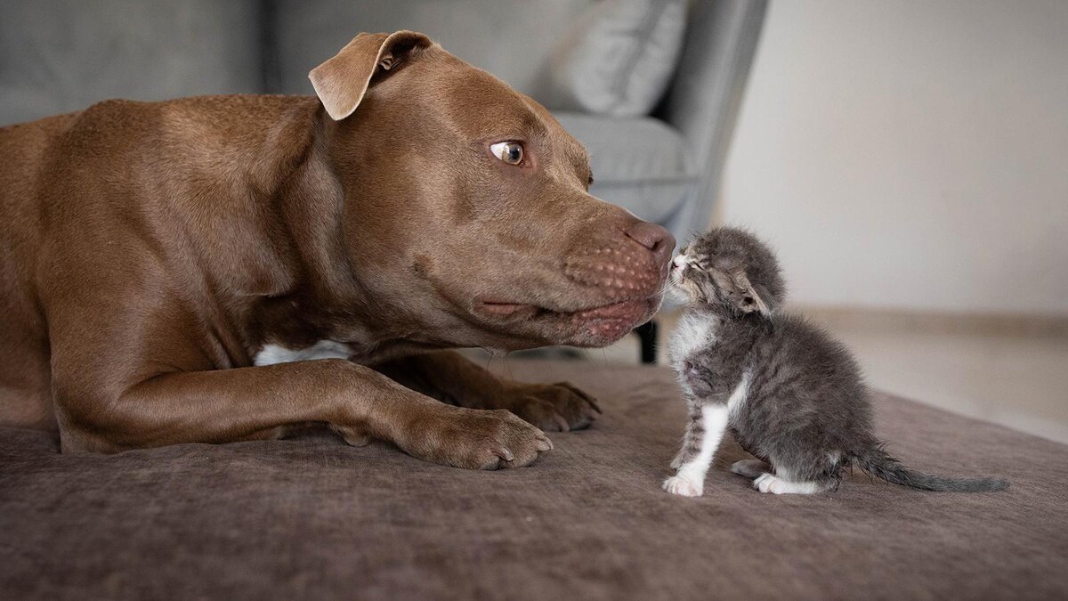    avishag shuva / Shutterstock / FOTODOM