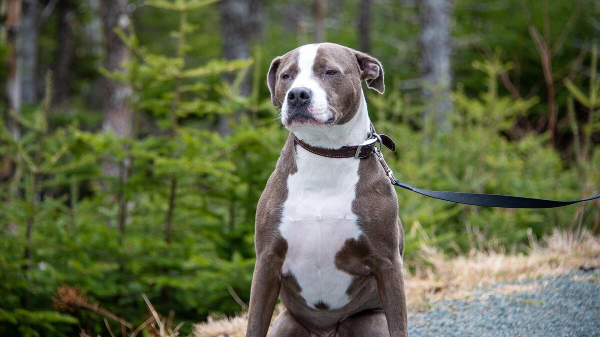    Dolores M. Harvey / Shutterstock / FOTODOM