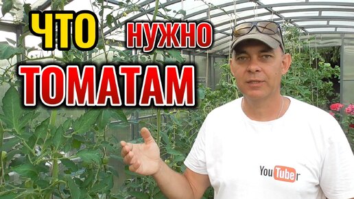 🍅 Срочно! Делаем ЭТО с томатами в июле! Последний шанс спасти томаты от фитофторы! Не упусти момент! Уход за томатами в середине лета!🌞🌻