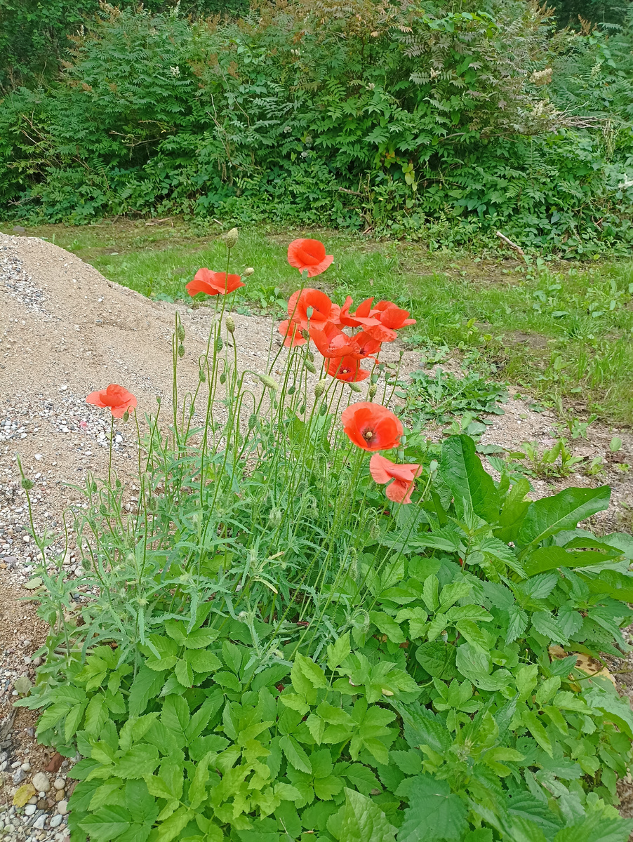 Отличная идея относиться к себе как к прекрасному цветку
