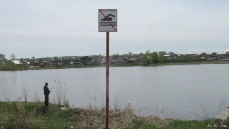     Купание запрещено barnaul.org