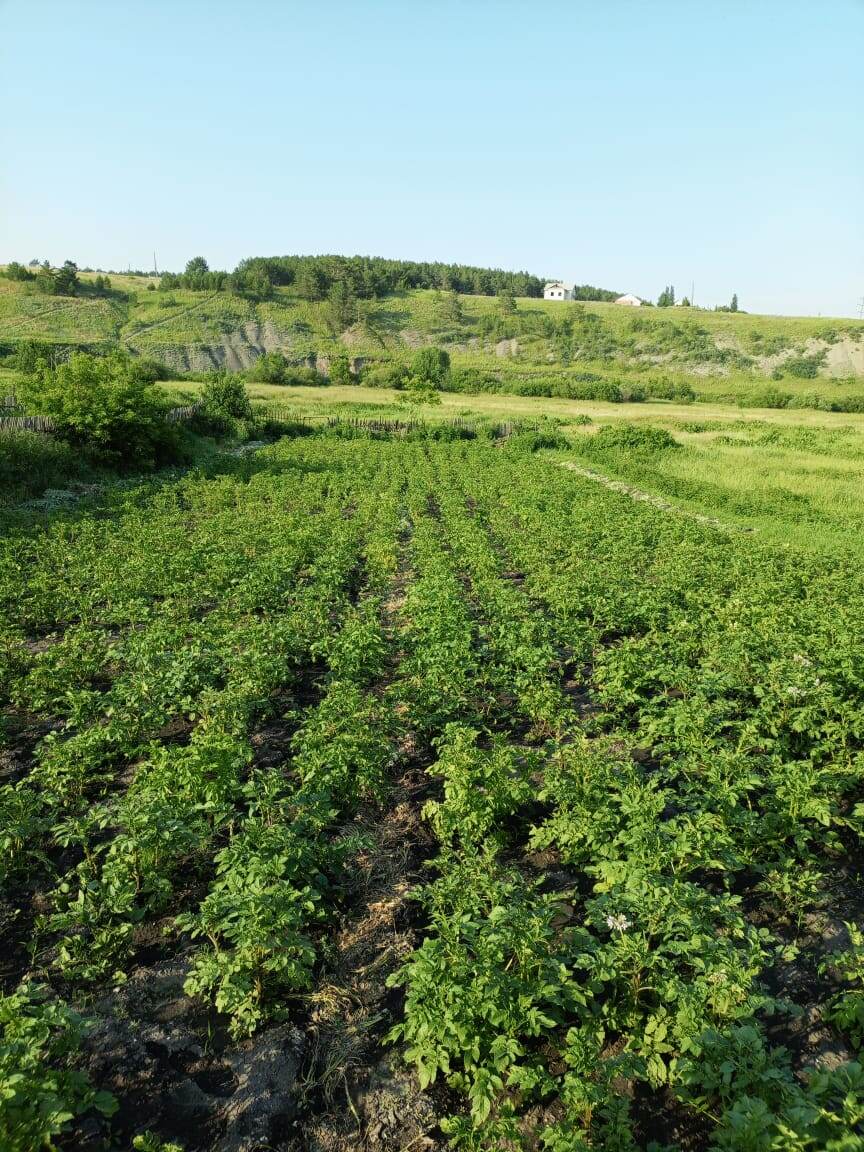 Фото автора канала.