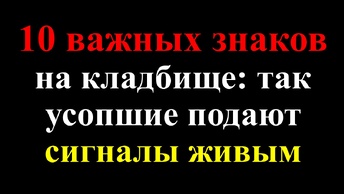 Как усопшие подают сигналы и знаки живым. Что нельзя делать на кладбище