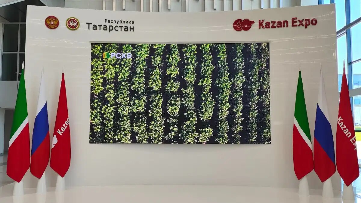  Фото:© Артем Борисов / Glavagronom.ru
В Татарстане начала работу международная агропромышленная выставка АГРОВОЛГА 2024