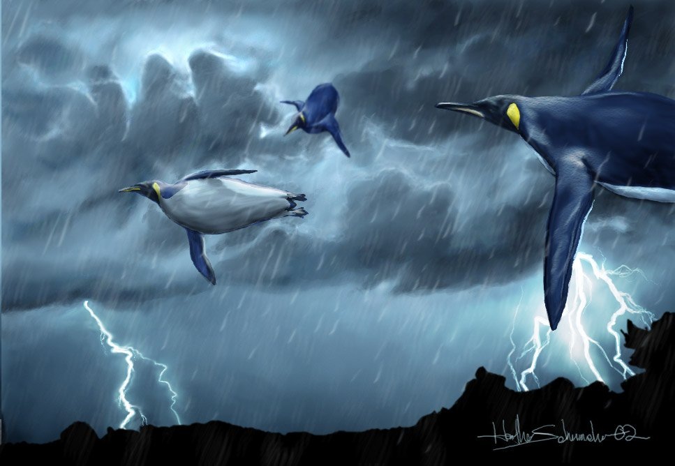 картинка из свободного доступа