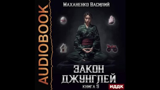 2004564 Аудиокнига. Маханенко Василий 