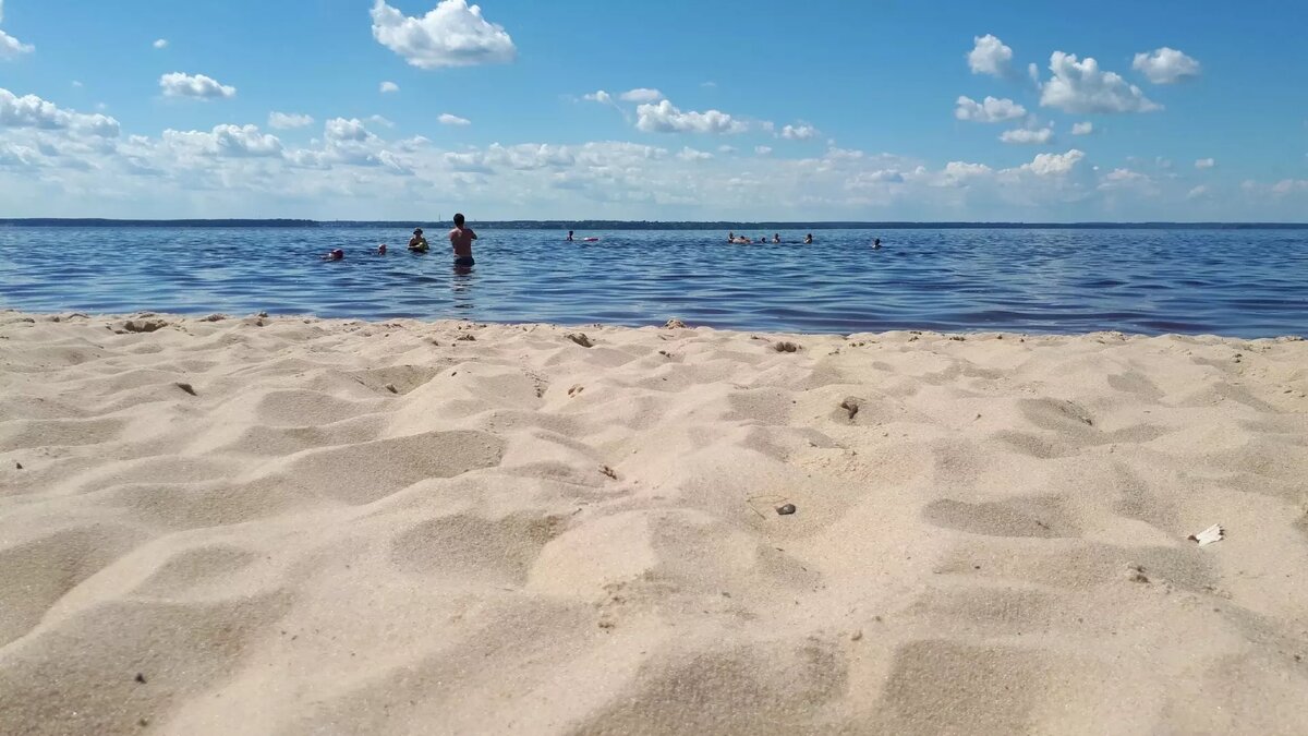     Источник: newsnn.ru