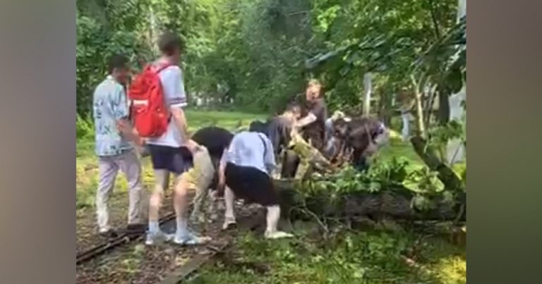 Синоптики обещали сегодня грозу с ливнем. В некоторых районах Москвы, например в Отрадном, прошел спасительный дождь, а некоторые он обошел стороной. Где-то просто дул сильный ветер.