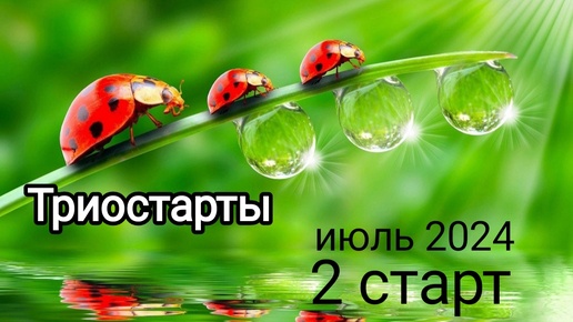 Триостарты июль 2024. Старт 2. Новая майка на старый лад.