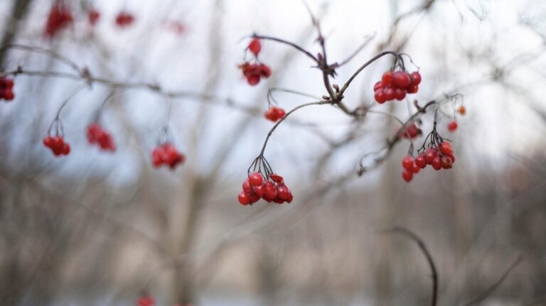    фото: freepik.com/freepik Анастасия Волова