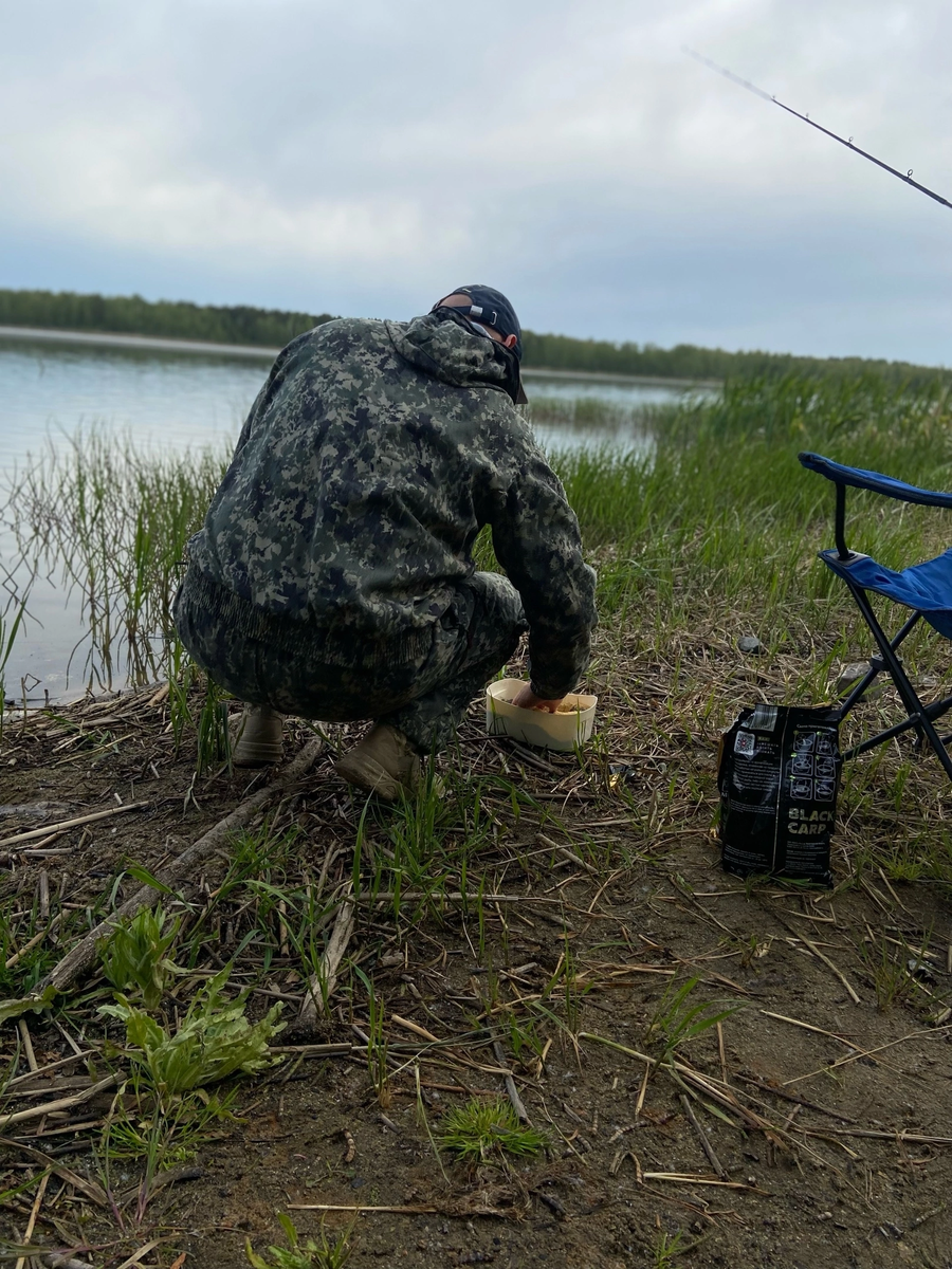 4-5 закромочных кормушек. Точка. Клипса.