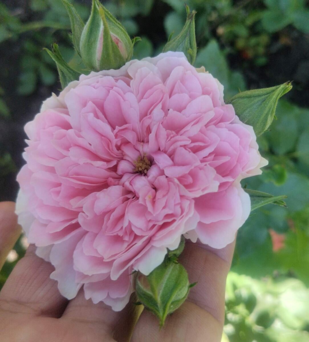 фото Татьяны