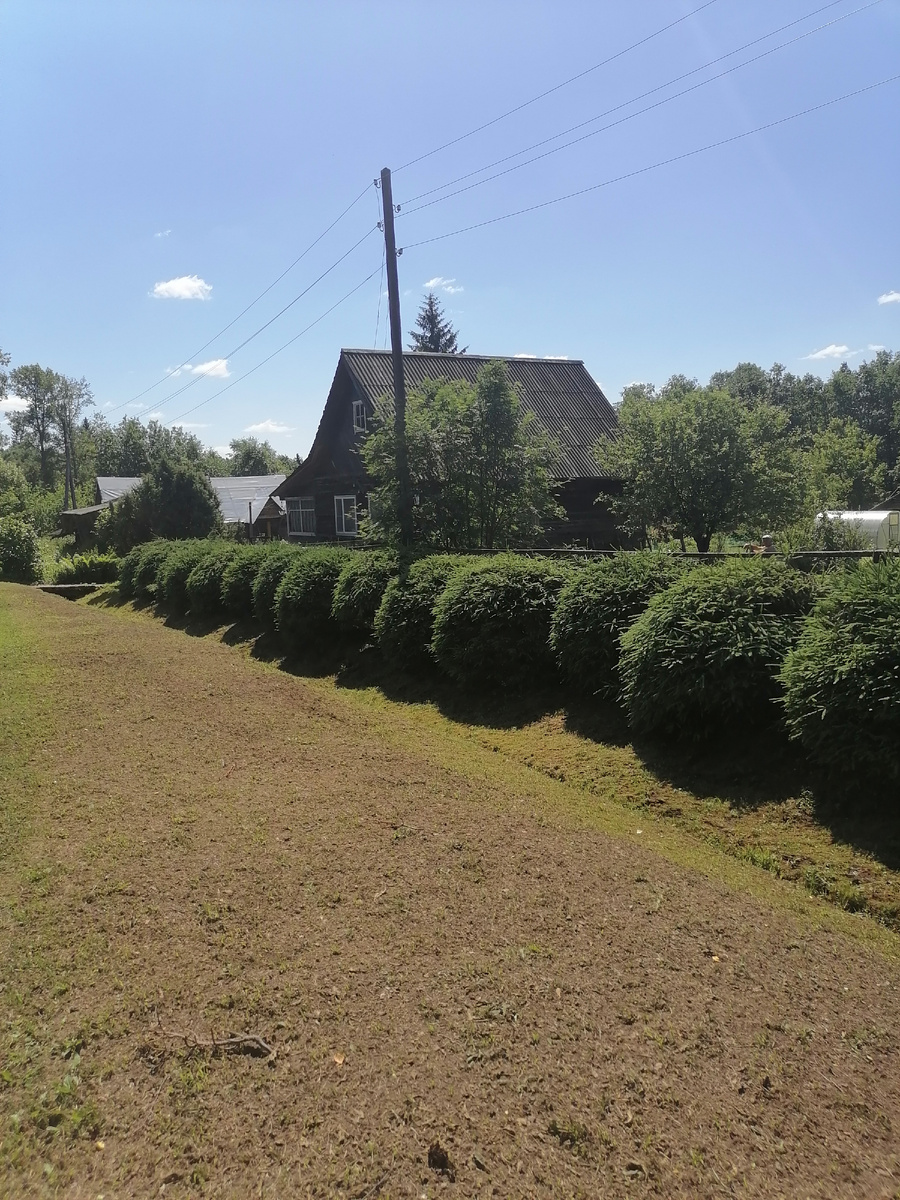 Домик с круглыми елками