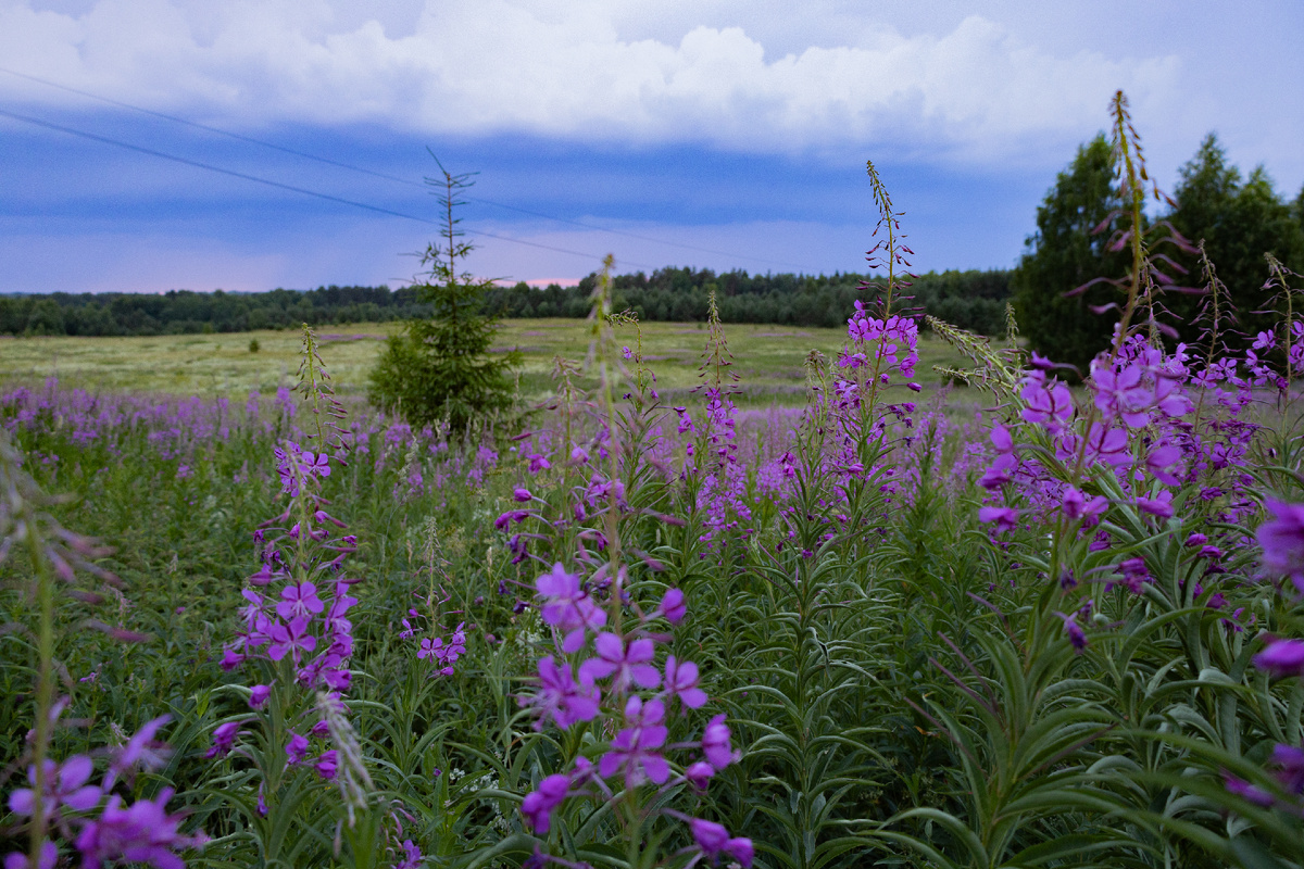 Фото: Александра Петрова