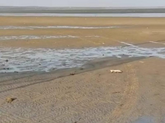 Сгон воды на Таганрогском заливе.