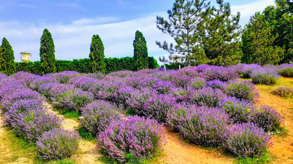 Снимок сделан мной в Лефкадии в 2021 году