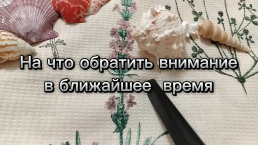 На что обратить внимание в ближайшее время?